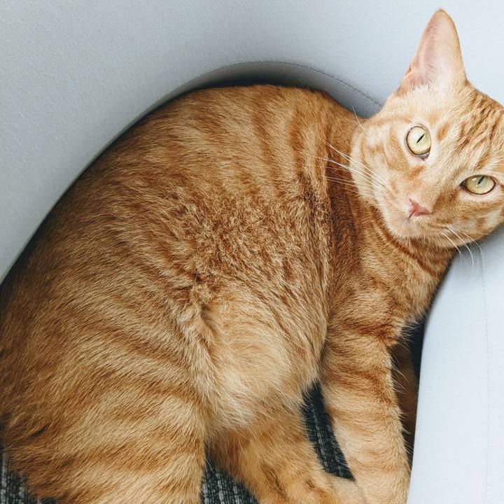 64e4bc82 4d3b 486b 9714 041643dc25f7 1654056890461