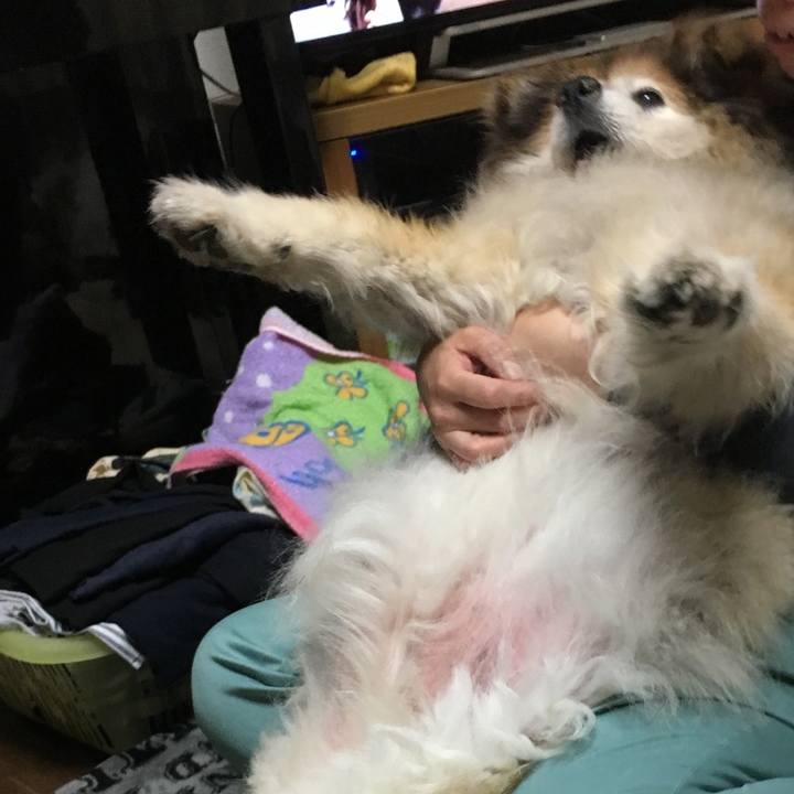 64e4d9c7 f92a 4311 a940 aa69b5bd2916 1571499163984