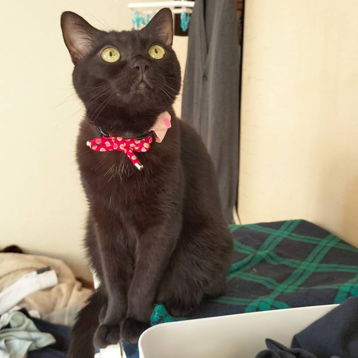 64e4e429 0465 44c2 af05 532812ff711d 1669934321005