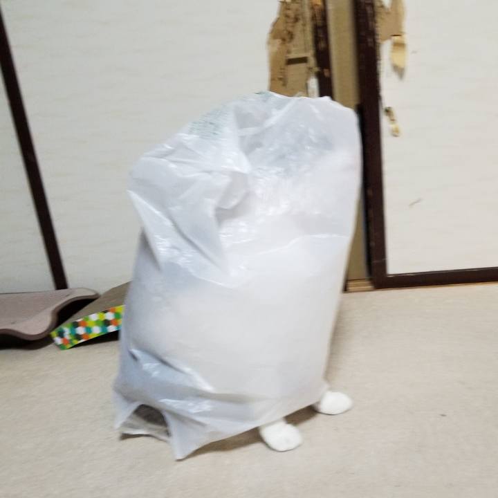 64e4f16e f388 4674 bbf4 3ba57f69d289 1649080393488