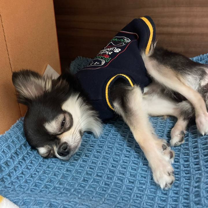 64e52853 b356 438e a061 a674db346a45 1647179511725