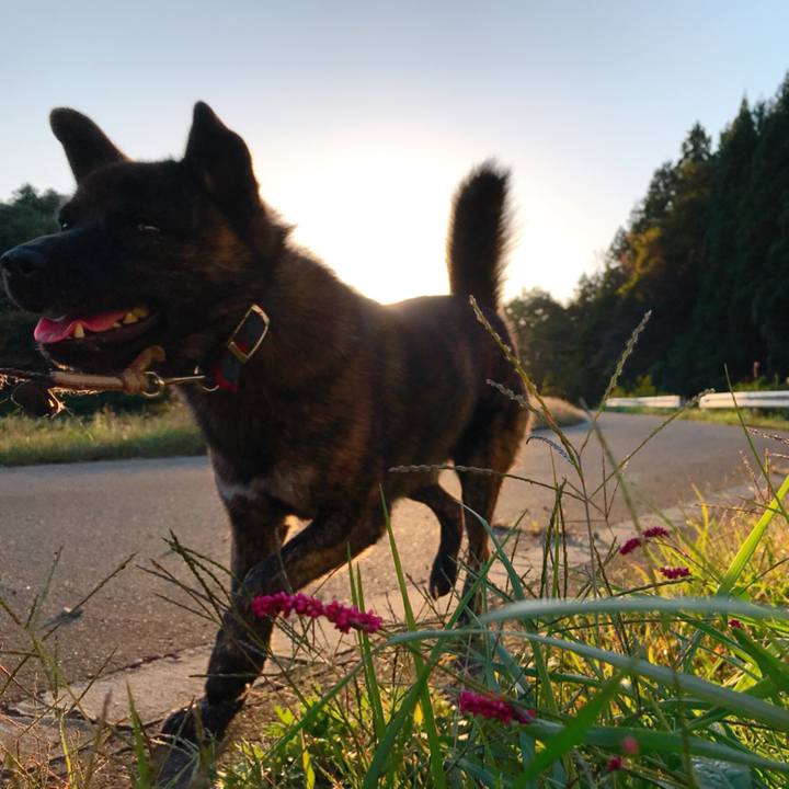 64e536fc cb35 4880 a8d8 970a9d843cef 1508295747133