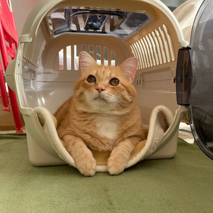 64e53b54 1eb8 4e1d bf9e bee24fdf33e9 1767059246739