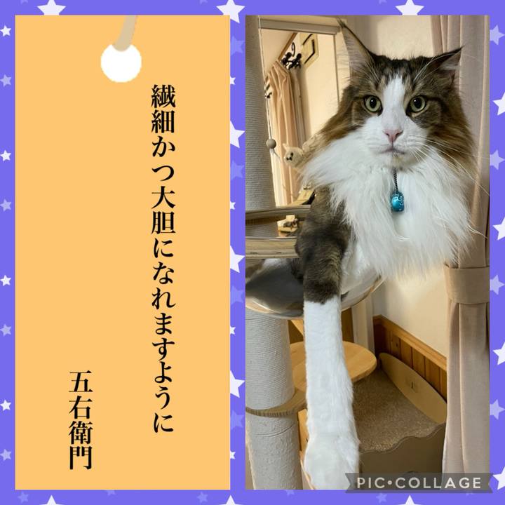 64e5b692 3cdf 4bf1 9388 c2b270de59c4 1720295856768