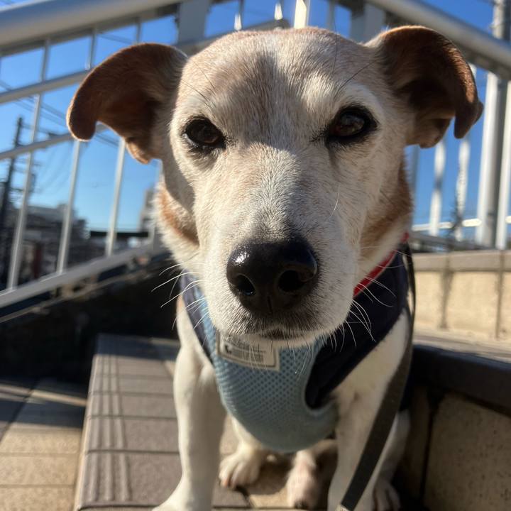 64e5be71 1220 456f 98b4 64dd8b6314d3 1767922112867