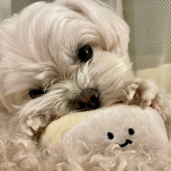 64e5f8f9 51d7 425a 841a 99b299a3dd8a 1774443049430