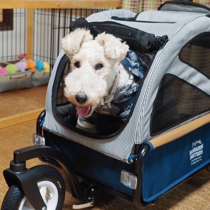 64e622d9 5c14 42ea 9c64 be58601a6c2b 1572184097051