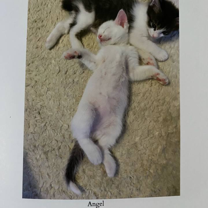 64e63637 120c 4519 bd97 b675ef51d4de 1665354926118