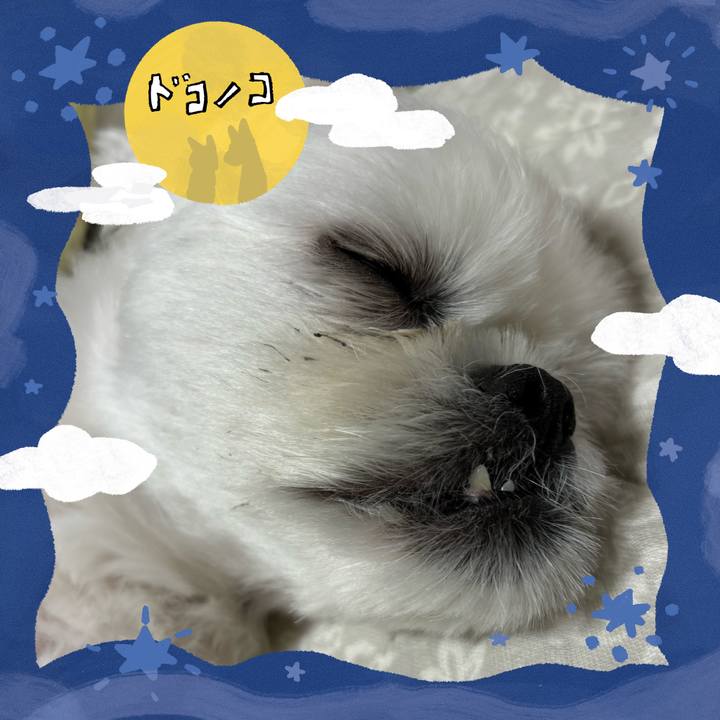 64e64546 22fa 4799 9bde 33a5f07b143f 1727002620732