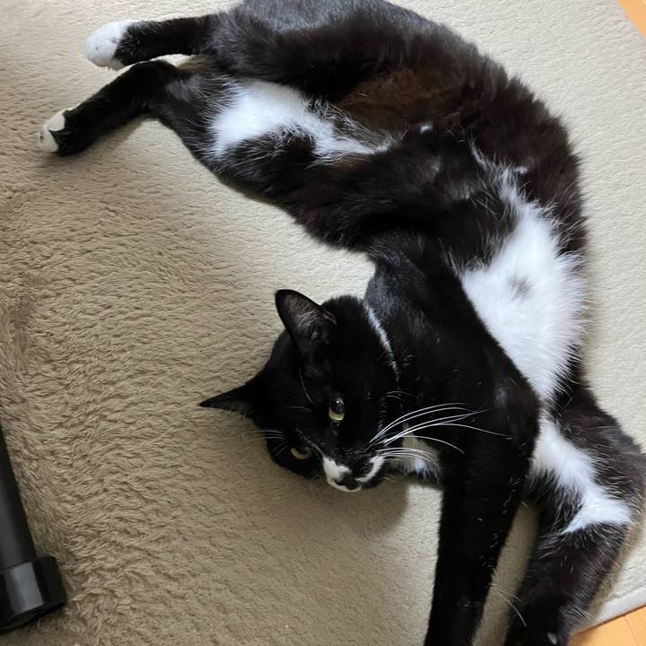 64e6519c 4346 4fc9 b602 76d68c40a50c 1727234686077