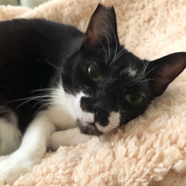 64e66973 cb24 4271 a906 ff463a9505b8 1637360271557