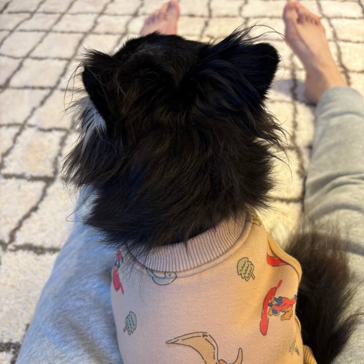 64e692cb 975b 40b8 a779 b4cd56611271 1733673707169