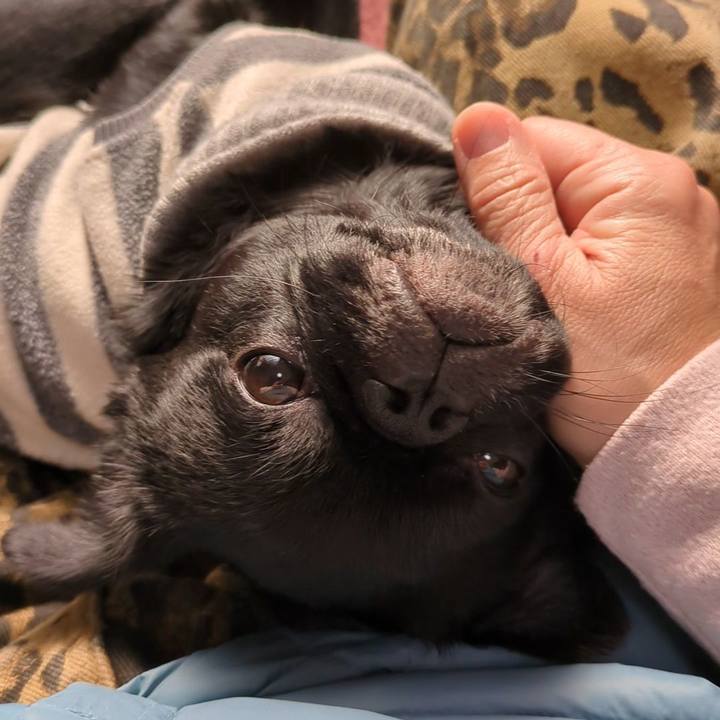 64e6952c b44a 4d4b a049 4eedaf3b843c 1764852718579