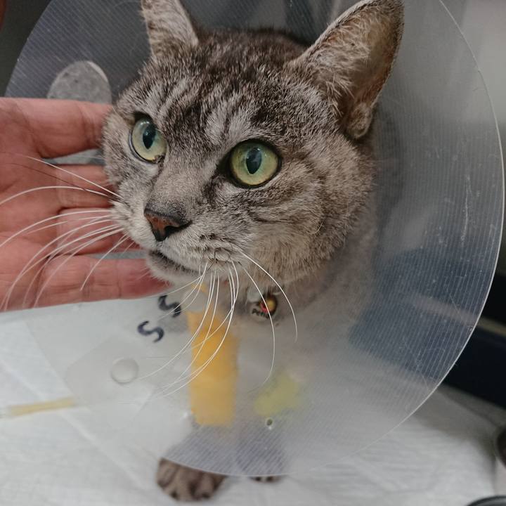 64e6a00c eacf 4b98 9da1 fab9ab2114df 1586070232158