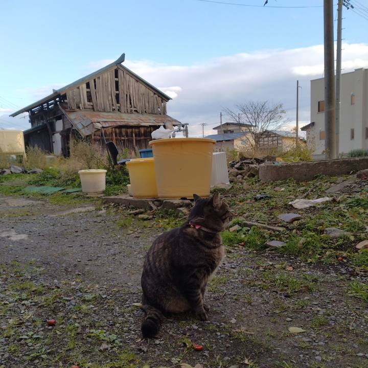 64e6a892 4d5b 4e30 932e d821987e8bb5 1667635944239