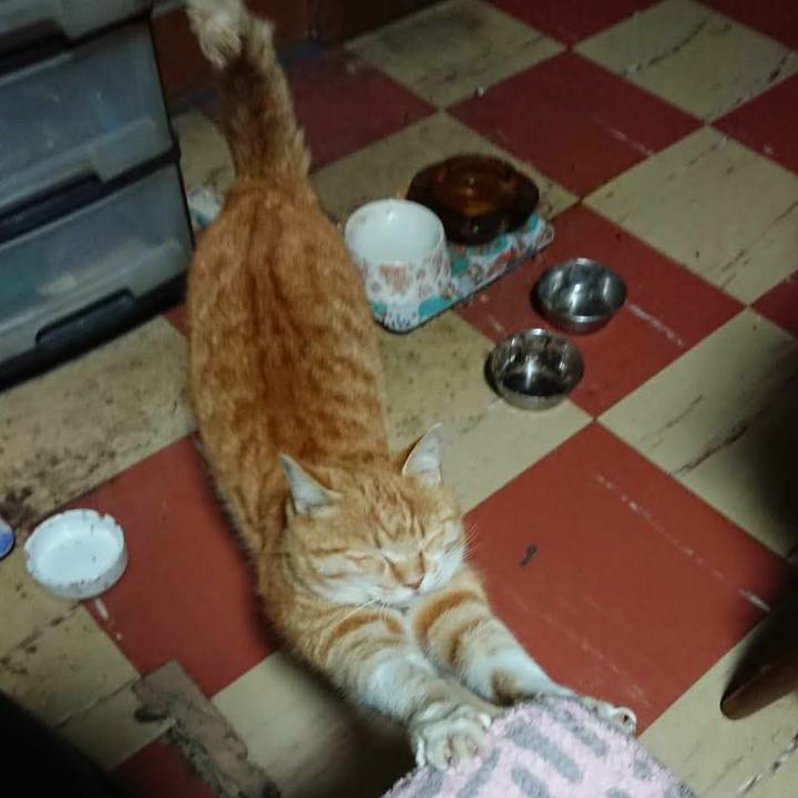 64e6b5a4 7501 4f03 b2af 76656fac5071 1584736269503