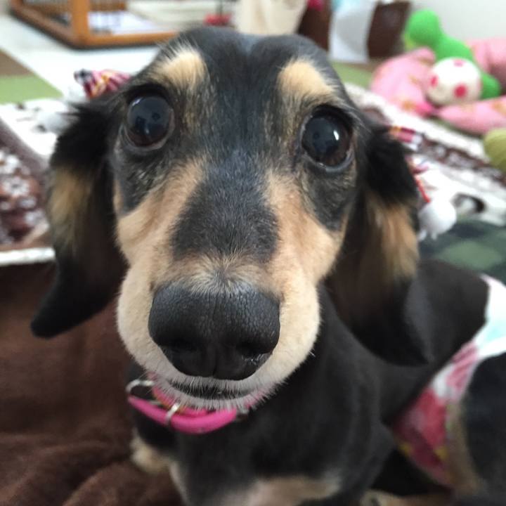 64e6e83e f822 4b4a 9f4b caba4b0c7d6c 1511482776166