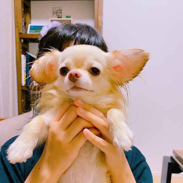 64e6f834 8877 4c59 b65c 646052cbb314 1626009600091