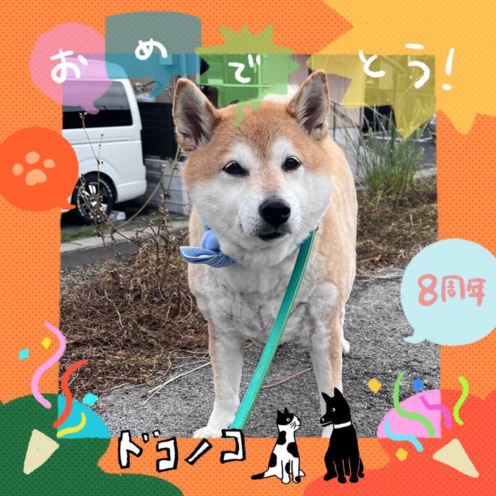 64e72eff d66c 41a2 9c68 57ba454b0d20 1717995942360