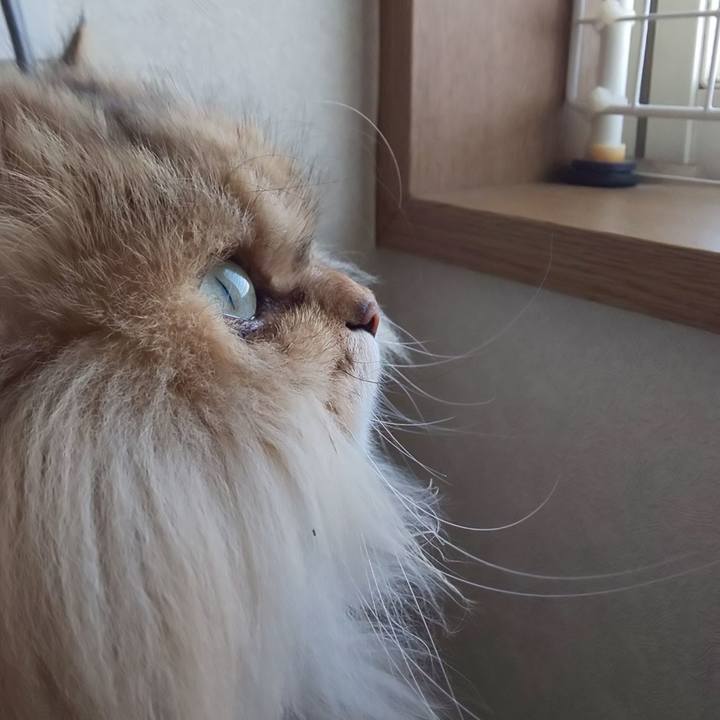 64e7540f 31f6 40b2 9bc0 29363b8fdb5f 1610160460397