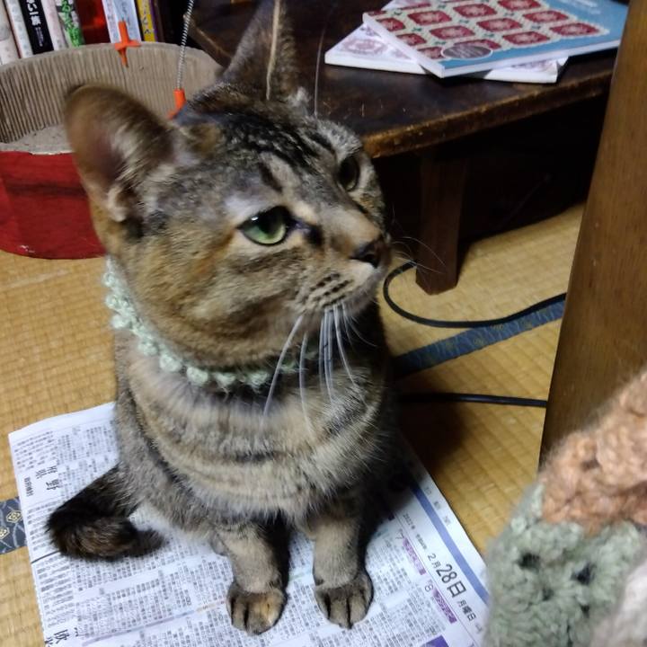 64e76842 d406 4c9a a91b 2706853b4ab1 1646040088836