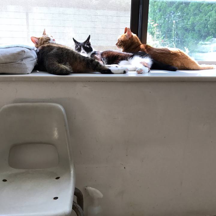 64e768c8 2e17 40af 84aa 7ce677dc6d77 1508122072441