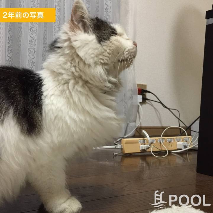 64e793d0 5e9b 41e6 9ffb 2559c3e7180c 1511592199930