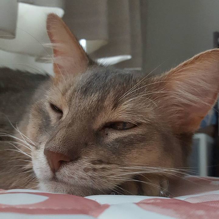 64e79b4e c065 4e48 901c 434d76668a00 1566427368573