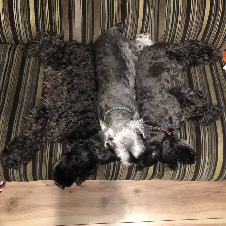 64e7a216 6467 4872 a3ad 6a8e3b3205ec 1531751562273