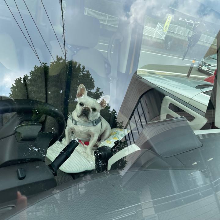 64e8285f 9b24 4fd4 92c4 5a4efefab37d 1751844826834