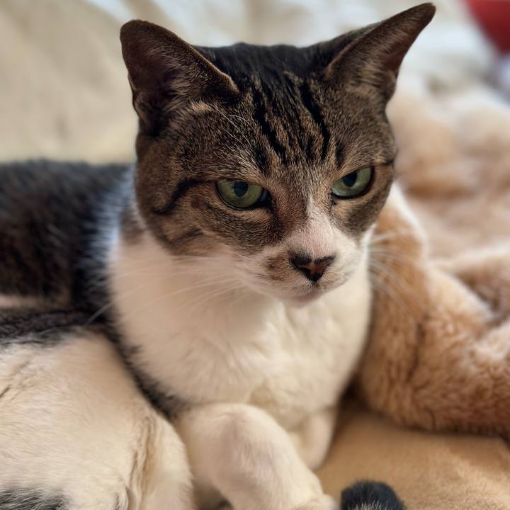 64e82b28 2419 47a3 9a8c 8856cd24cca9 1670546300000