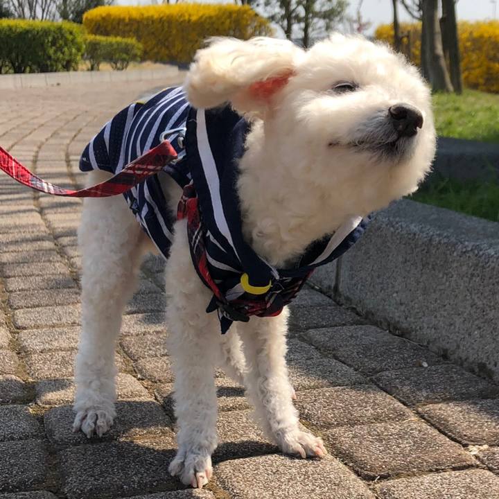 64e87202 4f08 4af4 91e4 1553fb11f91d 1554538728170