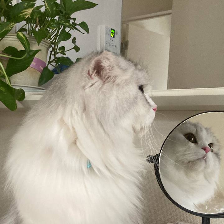 64e8da92 f036 426b a3be 936887a1e208 1657112047672