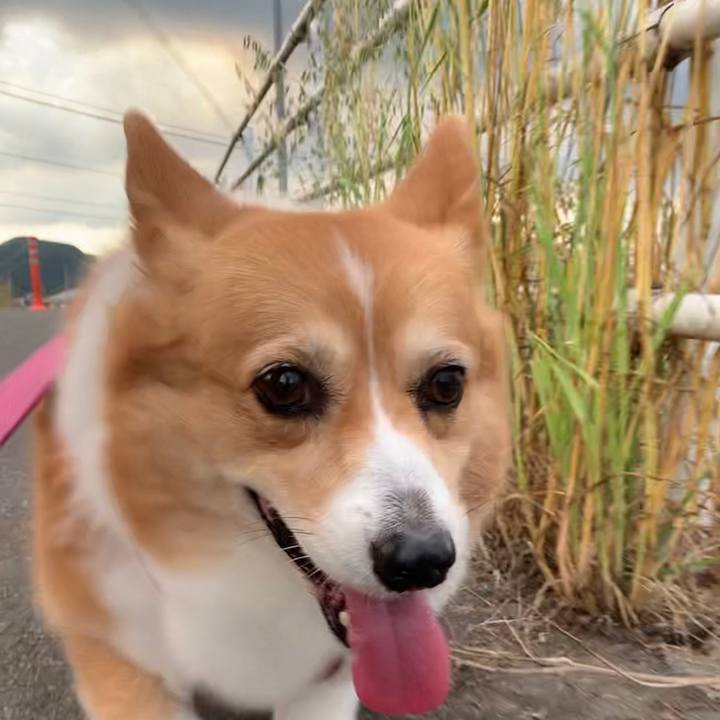 64e8fd37 2ff0 4e37 a1a1 160a22160a1e 1685443174490