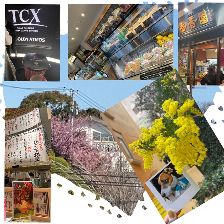 64e94f33 81cd 4b58 bad3 832bcb7c665e 1741765373211