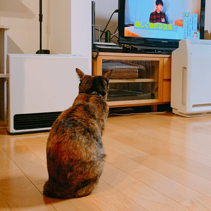 64e96951 1c3d 4c99 9dca 1a8538f62dd5 1552810000326