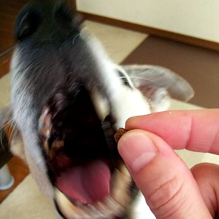 64e97b70 dbfc 4a85 8f15 1d4ccb8bedfa 1595119830362