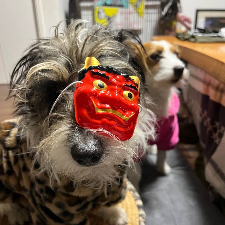 64e98d4e 5d35 4a3a ab6f 1c9571a7130b 1770114882806