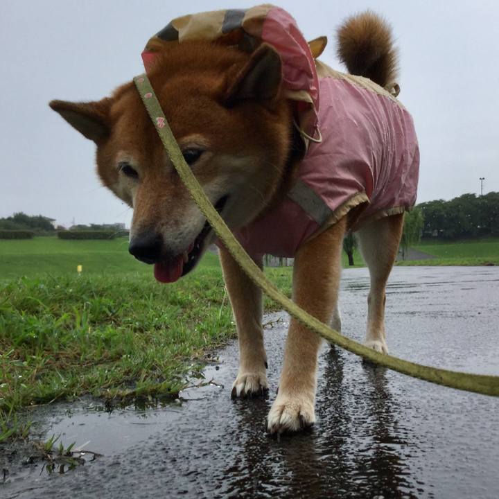 64e9a5cd 1068 4e16 b08c c1aa2a849421 1566546090201