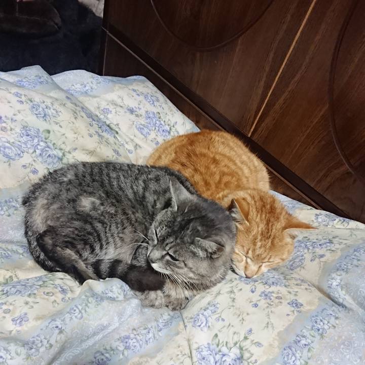 64e9b0e9 8c4b 4295 9fe0 c5d8c0d62621 1582632425564