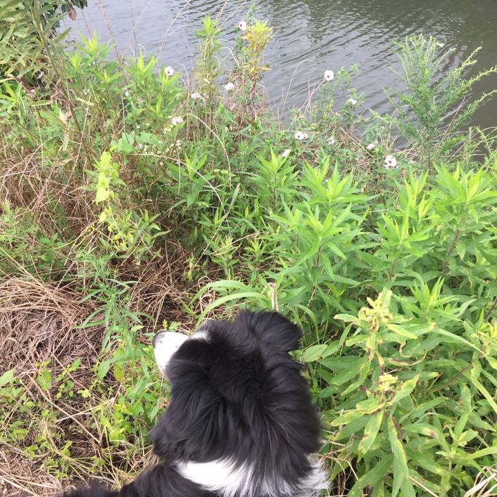 64e9fd72 9d8f 4537 81c7 5e35958d6113 1563932947658