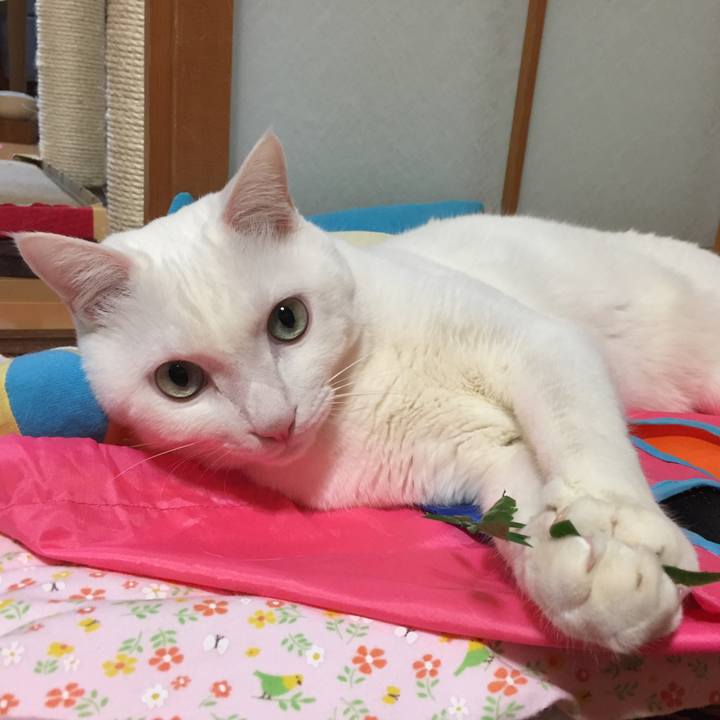 64ea2310 85ad 4d41 a7ee 6dc60df65d09 1519274712133