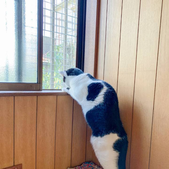 64ea4646 68fd 4e44 a9a4 2f2d0417985d 1545615530068