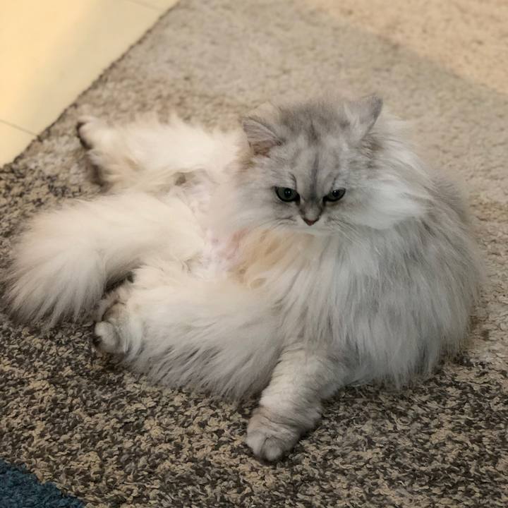 64ea64e1 d811 4838 8825 76b4f58f5347 1550274558834