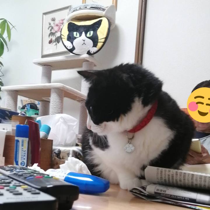 64ea98c5 7a92 48a2 828b 63856668445b 1621571314385