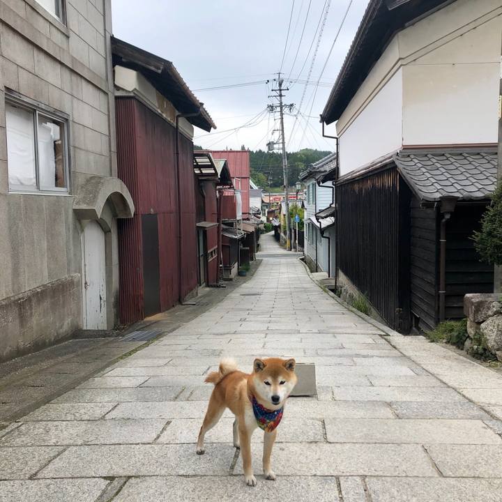 64eaa4d1 8887 43be b3da 47d9a3f4041b 1557392261007