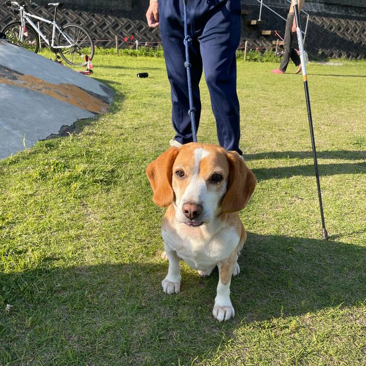 64eac3ca 26ef 41ea 96ed 91823d09e73c 1682985462104