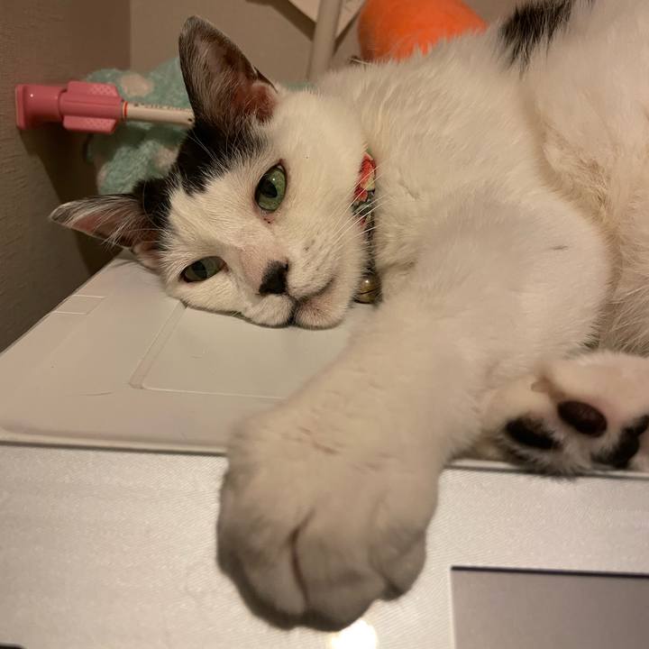 64eac533 fbe4 4fc4 ac66 001ae2815a24 1718854674655