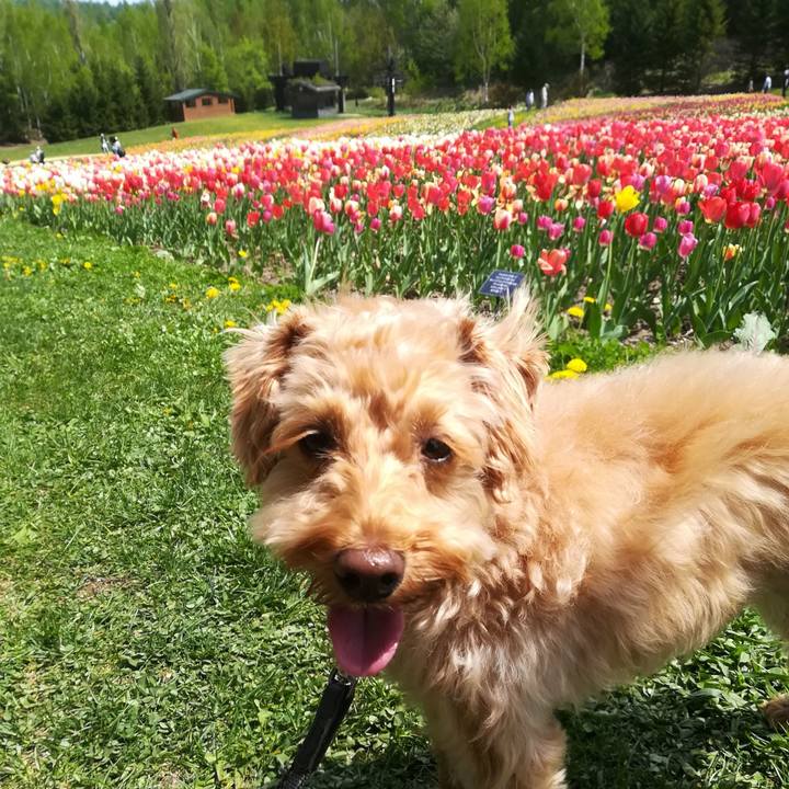 64eada3a e08c 4ce8 9dd9 92873c5e80bb 1558258977892