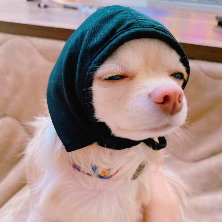 64eb0abf 62b1 42ff b76e 24cc3b55353d 1642478013522